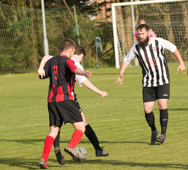 人可能会在 人可能会在