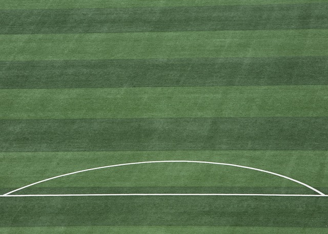 为新赛季的 为新赛季的