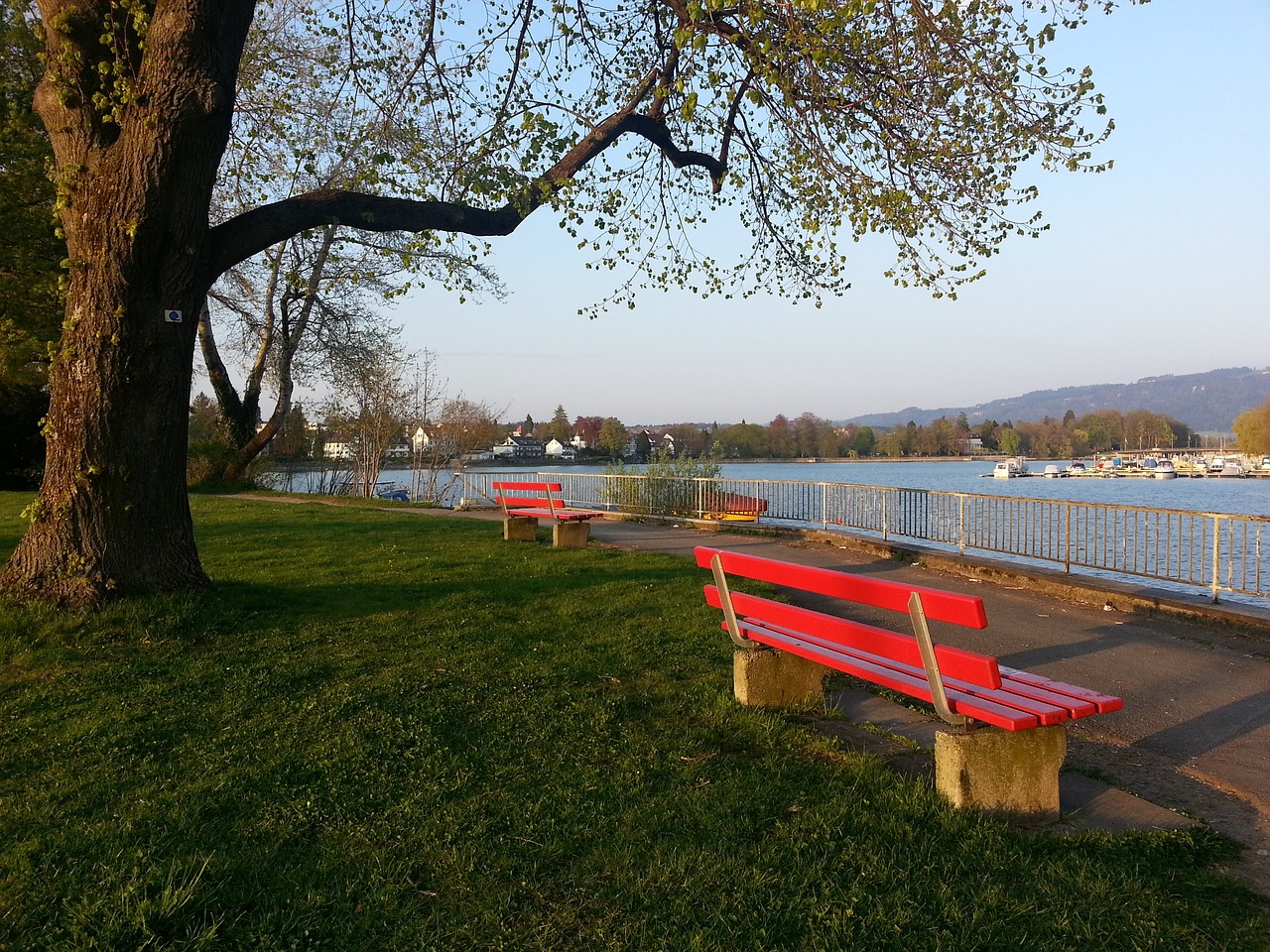 心跳之外 心跳之外