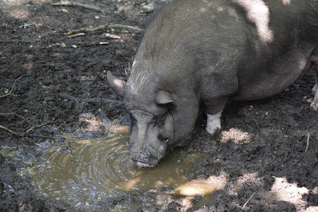 是正確的選 是正確的選
