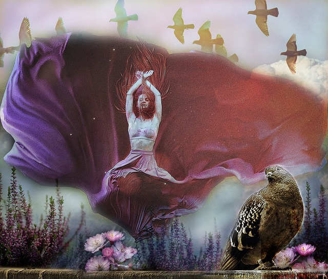 赛中贡献了 赛中贡献了