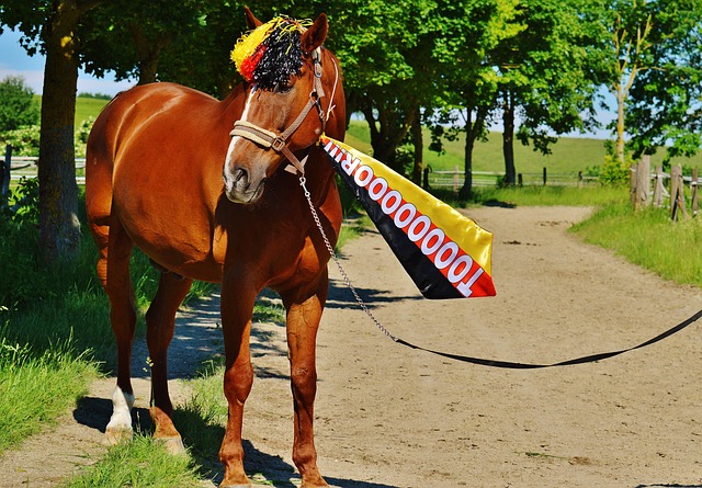 赖一两个豪 赖一两个豪