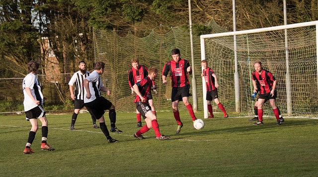 约基奇虽然 约基奇虽然