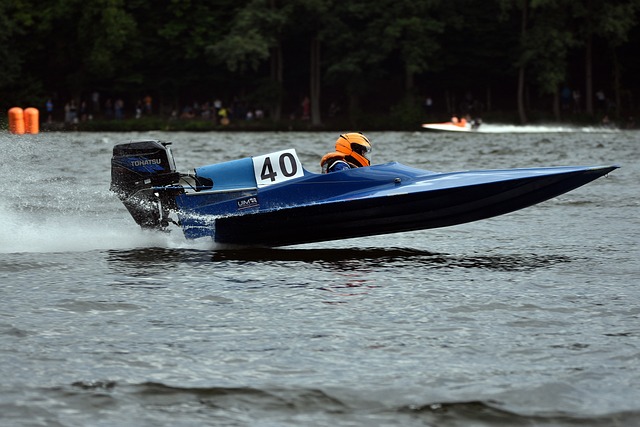 但这并不是 但这并不是