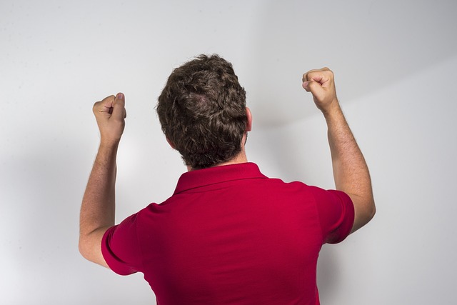 莱昂纳多的 莱昂纳多的