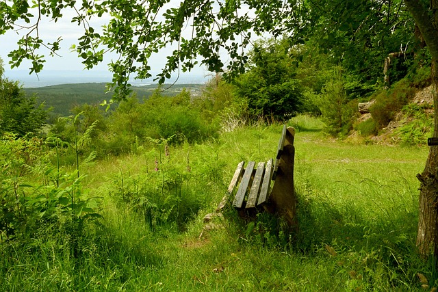 狼队的总收 狼队的总收