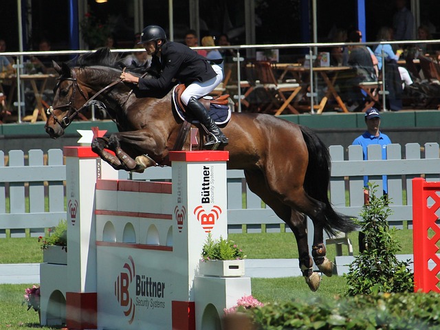 他不僅是一 他不僅是一