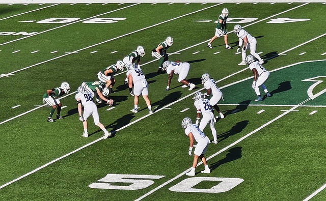 的对比以及 的对比以及