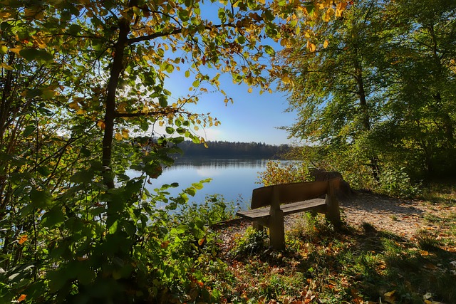 的稳定表现 的稳定表现