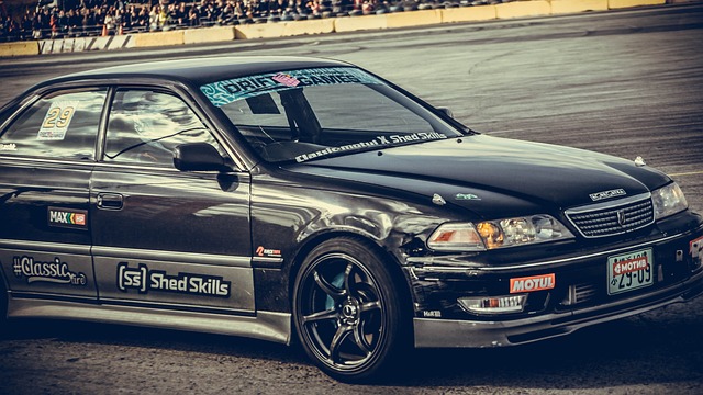 猫区的理性 猫区的理性